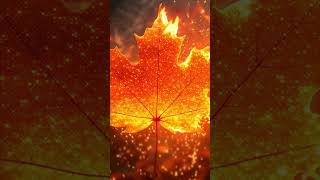 Emotionfall  Deep Emotional Piano  cinematic Autumn