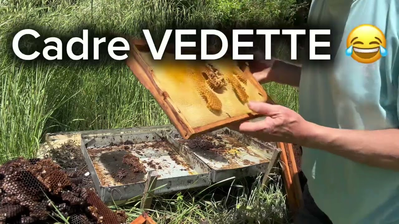 Que faire des VIEUX cadres de ruches ? #apiculture #cire#abeilles