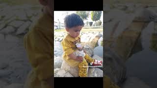 Baby Ayzal Fatima Future Star Talented Babies Cute Girl