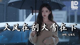 龙妹儿 - 大风在刮大雪在下 (深情女版) (抖音热播DJ版) Da Feng Zai Gua Da Xue Zai Xia『别在这个冬把我给丢下，熬过了风雪熬过了冬天』 热门爆火版『动态歌词MV』