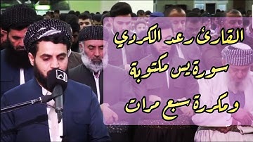 رعد الكردي سورة يس مكررة 7 مرات 💚💚