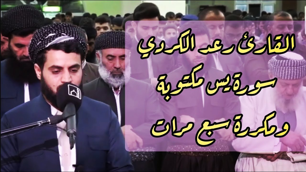 رعد الكردي سورة يس مكررة 7 مرات 💚💚