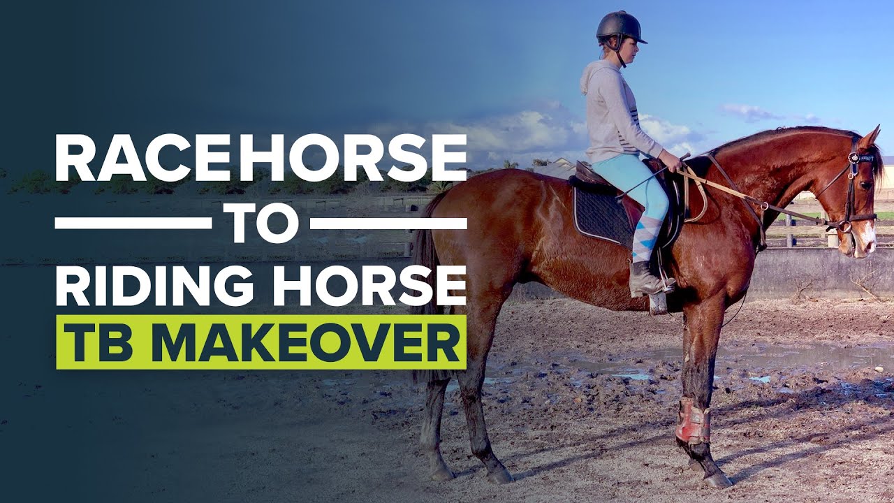 THOROUGHBRED MAKEOVER AUSTRALIA | RETIRED RACEHORSE PROJECT