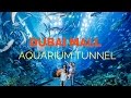 Dubai Mall Aquarium Tunnel in VR / 360!