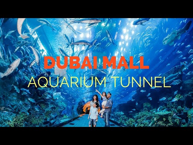 dubai mall aquarium tunnel