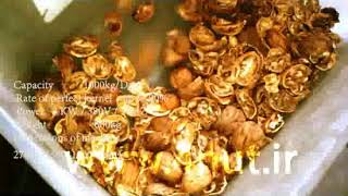 Automatice walnut cracker machine 1000 kgr/day