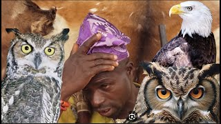 Download Lagu OGBOJU ODE // EBORA TAN INA SIMI LEYIN IGBATI MO YIN IBON SI ERAN TAN NINU IGBE, ERAN NAA SI POORA.. MP3