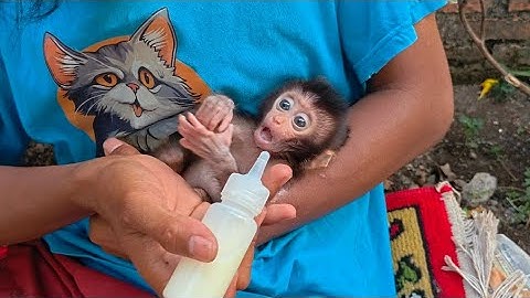 OH NO RUBY REJECTED HER MILK 😱 SHE