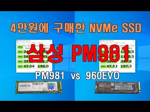 4만원에 산 삼성 NVMe SSD PM981