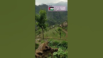 قرآن كريم بصوت جميل للقارئ الشيخ محمد الفقيه #اليمن #السعودية #العراق #الجزائر #اكسبلور