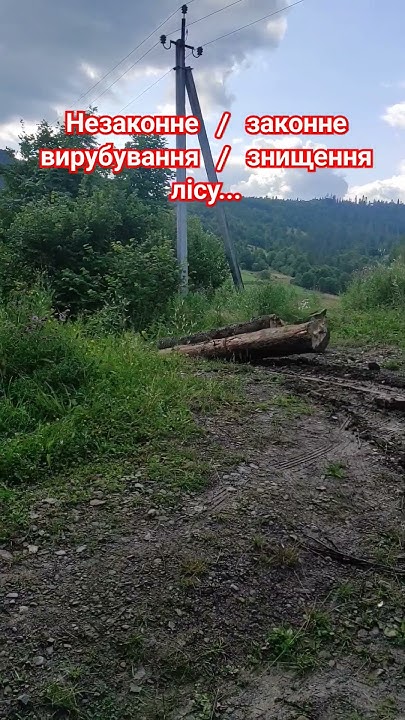 Знищення лісу. Людство заслуговує на перезавантаження... - YouTube