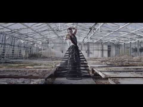 Diary of Dreams - StummKult