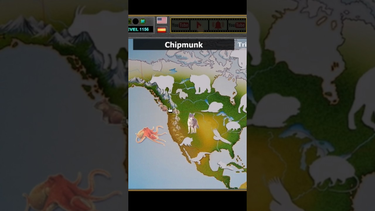 North America Animals 