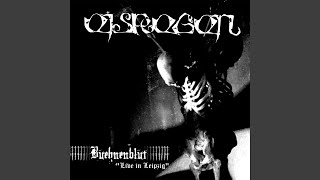 Eisregen - Die wahre Elektro-Hexe