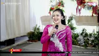 ILFY BULQIZ || AKU TAK BUTUH CINTA || SEKAR MADU MUSIC || UYAH MOTO PIDIO