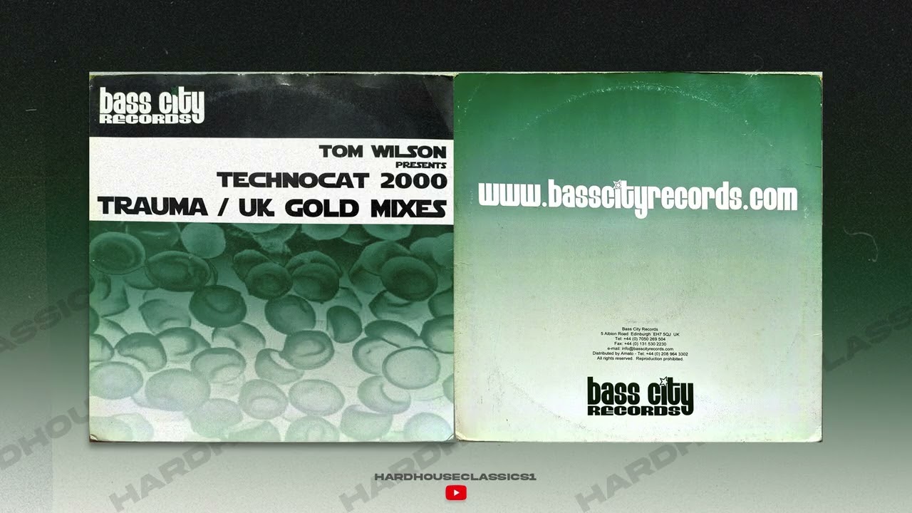 Tom Wilson - Technocat 2000 (UK Gold Remix) HQ