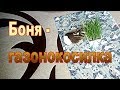 Боня - газонокосилка