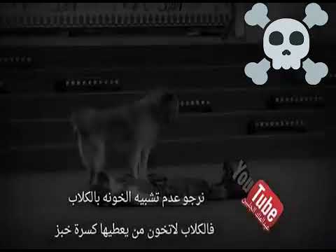 كلب وفي احسن من صاحب كلب