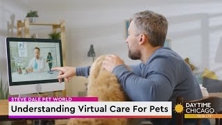 Understanding Virtual Care For Pets
