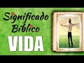 Vida significado bblico  qu significa vida en la biblia 