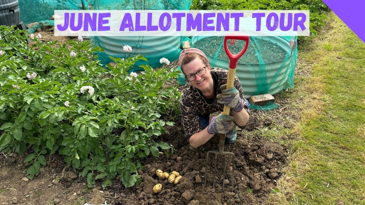 June Allotment Tour - Allotment Gardening For Beginners UK - YouTube
