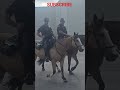 #horse#horseriding#horses #police#dallas#cops#cowboys #policeofficer#usa#texas #fortworth#k9 #swat
