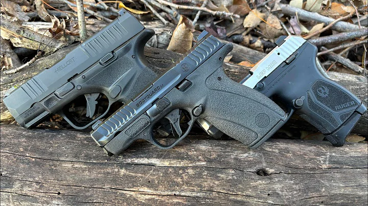 Bodyguard 2.0 Vs. Hellcat .380 Vs. LCP Max - What Is The Micro .380 King?