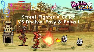 Battle Cats Music: Street Fighter Dhalsim Theme! New Challenger!