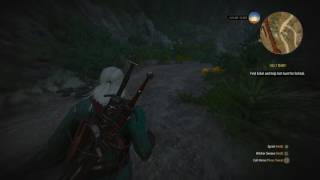 The Witcher 3 Find Eskel and Help Him Hunt the Forktail