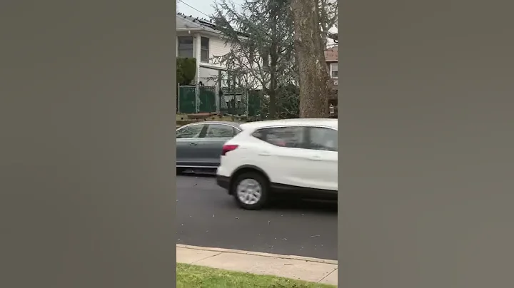 THOUSANDS OF BIRDS  INVADE NEIGHBORHOOD IN NYC THE...