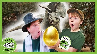 Dinosaur Egg Challenge! T-Rex Ranch - Jurassic Dino fun and Games