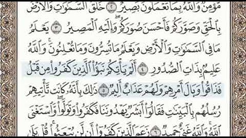 سورة التغابن الصفحة 556 الشيخ محمد صديق المنشاوي