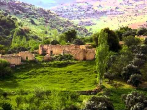 بنحبك يا اردن برؤية خاصة