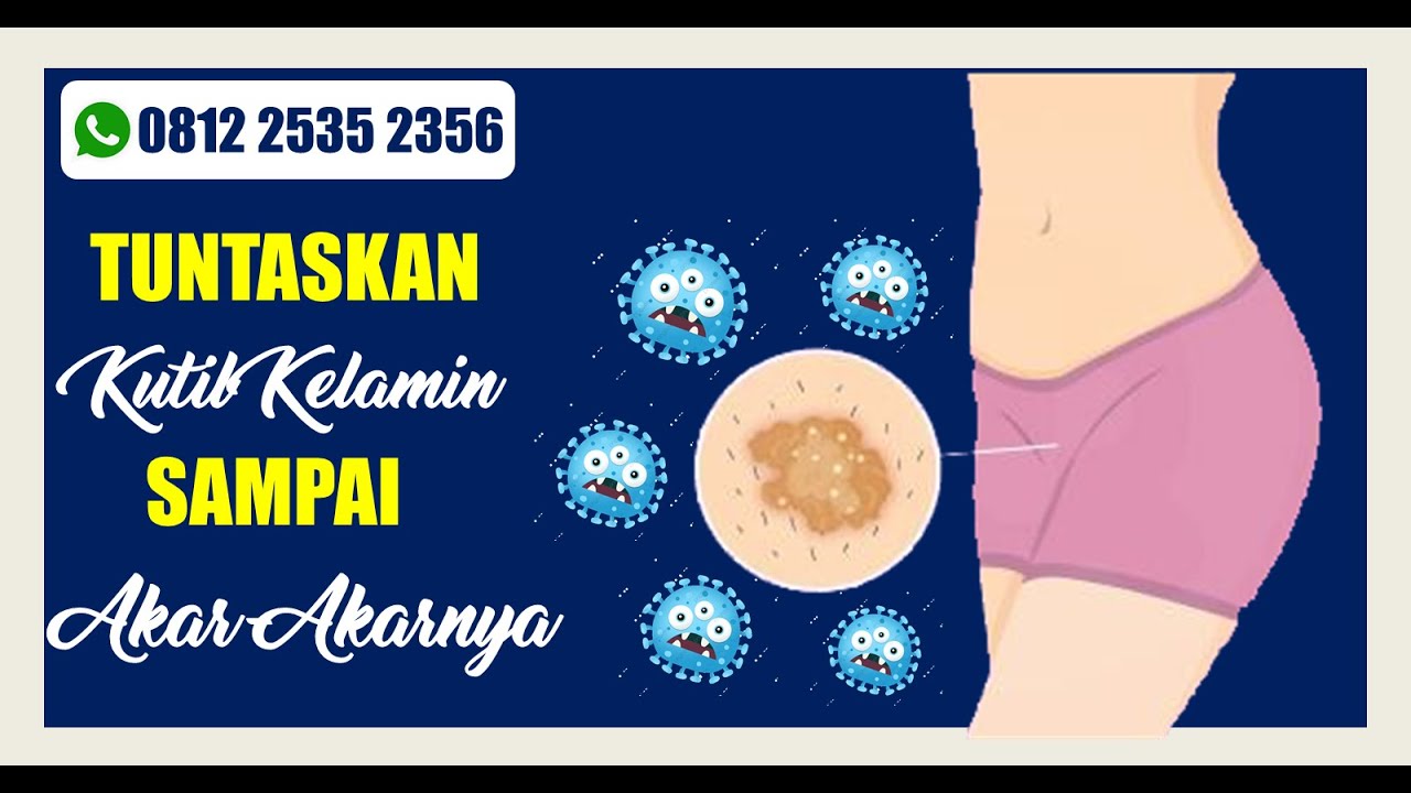 Obat Apotik Di Herbal Kolesterol Obat Apotik Di Herbal Kolesterol