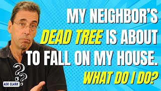 My Neighbor’s Dead Tree Is About To Fall on My House. What Do I Do?