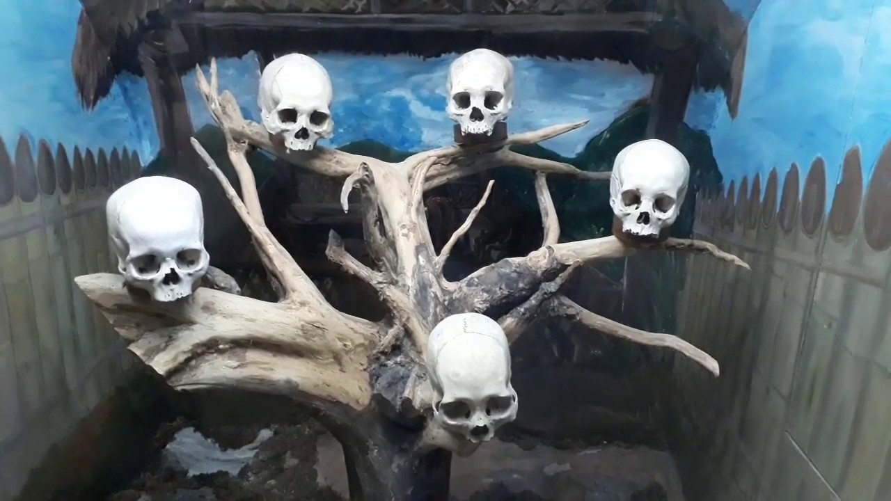 Museum of Nagaland - a glimpse of Naga history and traditions