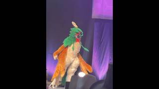 AMAZING POKEMON DECIDUEYE COSPLAY! #pokemon #springonshorts