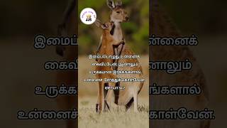 இரக்கமுள்ள தேவன் | @gracelifeofjjs #jesus #god#grace_life_of_jjs#jjs #bible #grace#protection
