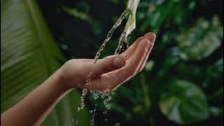 4K Hand | Water | Pouring | Flowing | Free Stock Video Footage [ No Copyright ]