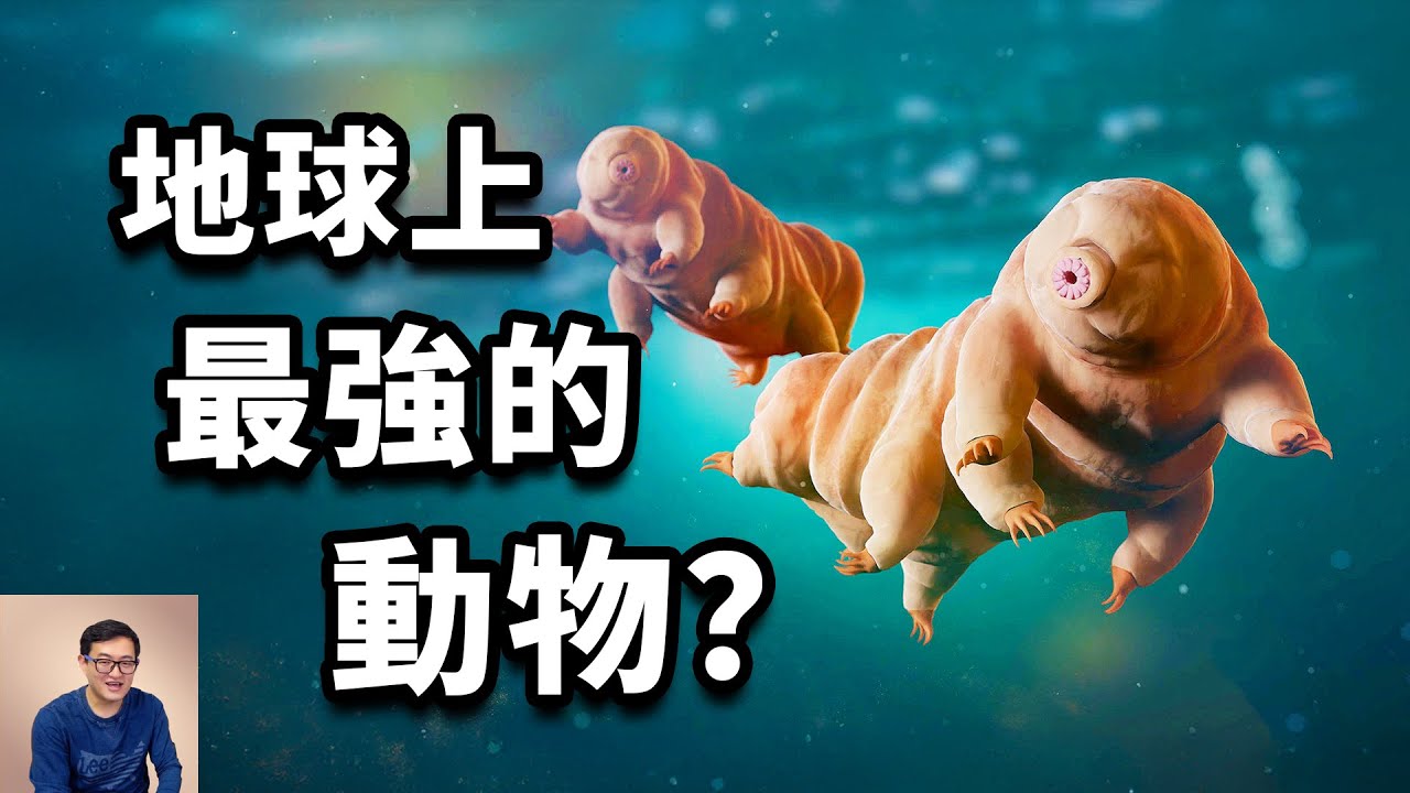 絕對零度也殺不死，像三體人一樣脫水隱生！為什麼水熊蟲能「適應」外太空環境？還原真實的水熊蟲！【老肉雜談】#生物 #水熊蟲 #動物 #冷知識 #揭秘