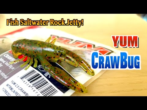 Yum CrawBug] How to fish? [Jetty fishing] 