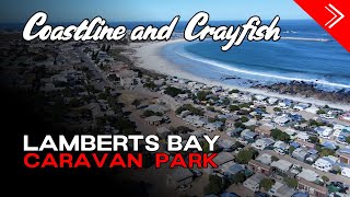 Lamberts Bay Caravan Park: Beach Days and Ocean Sprays!