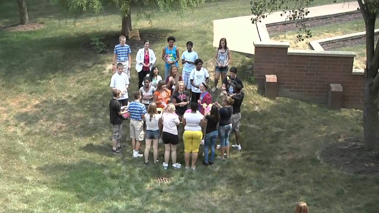 Immune Response to Bacteria