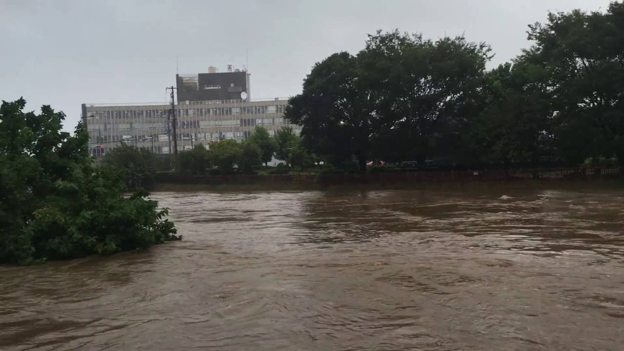 16 8 22 埼玉 志木 大雨 新河岸川 柳瀬川 水位 状況 Youtube 16 8 22 埼玉 志木 大雨 新河岸川 柳瀬川 水位 状況 Youtube