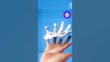 How To Remove Cactus Spines?