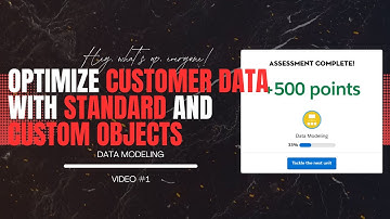 Optimize Customer Data with Standard and Custom Objects Salesforce Trailhead complete Guide