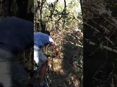 Singletrack Sarandi PR