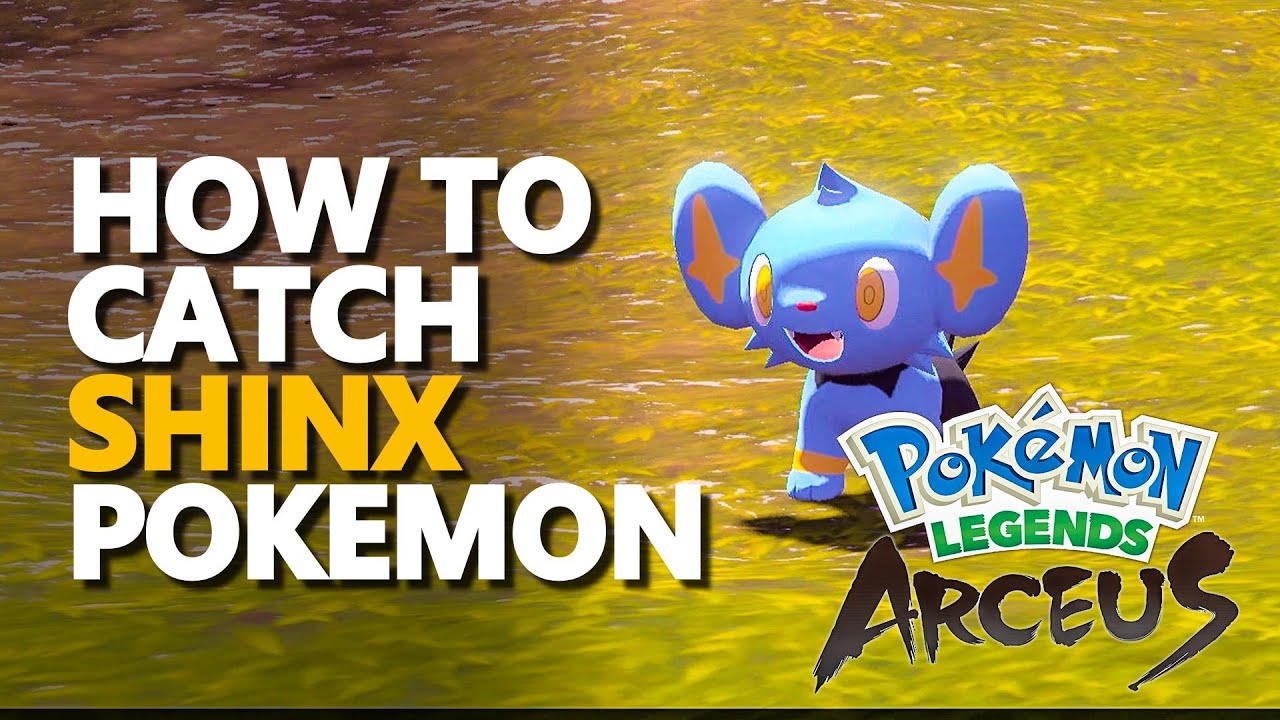 How to catch Shinx Pokemon Legends Arceus YouTube