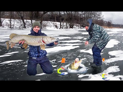 ДЕД НАШЛ ЗИМОВАЛЬНУЮ ЯМУ... СКОЛЬКО ЩУКИ с ОДНОЙ ЛУНКИ!!! РЫБАЛКА на ЖЕРЛИЦЫ 2024