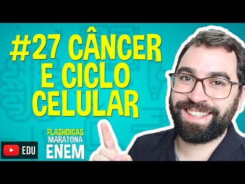 Vídeo: Diferença Entre O Ciclo Da Célula Cancerosa E O Ciclo Celular Normal